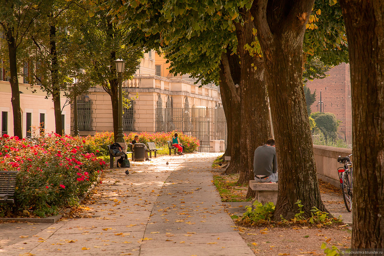 Verona